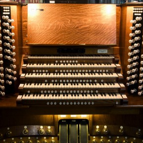 organ
